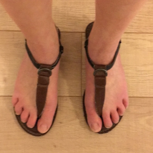 String Sandler’s American Eagle - Picture 6 of 6